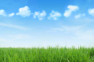 Bonjour tout le monde !